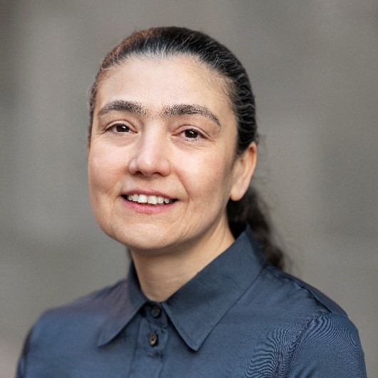 Prof. Dr. Parisa  Gazerani, PhD